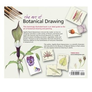 Office - The Art Of Botanical Drawing Office - The Art Of Botanical Drawing